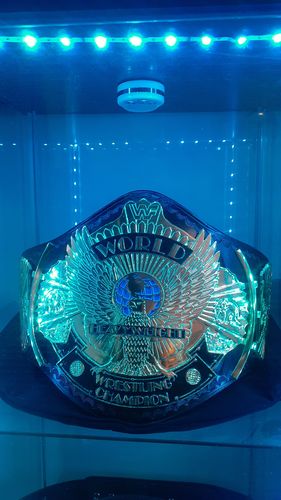 Customer photo review of Winged Eagle Belt