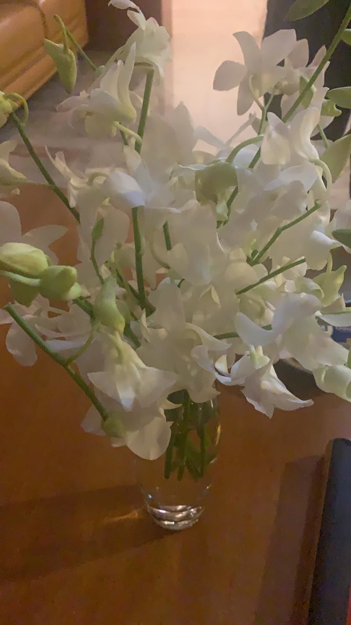 Customer photo review of Subscribe to Cut Flowers - Basics