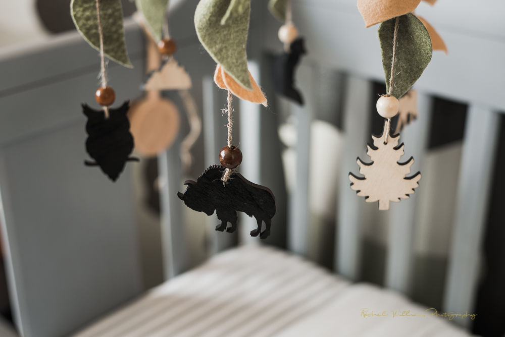 Customer photo review of Unfinished Wooden Owl Shape - Animal - Wildlife - Craft - up to 24" DIY