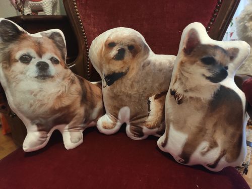 Customer photo review of Personalisiertes Hundekissen™