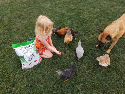 Customer photo review of GrubTerra Dried Larvae