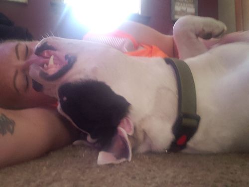 Customer photo review of Pup Wax Luxe Dog Nose Balm and Paw Wax