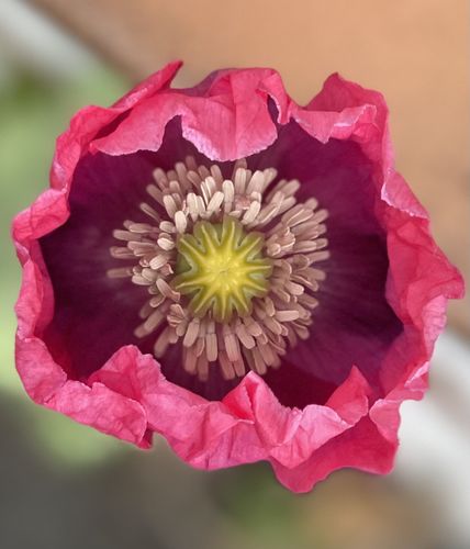 Customer photo review of Twisted MIDI Drum Loops