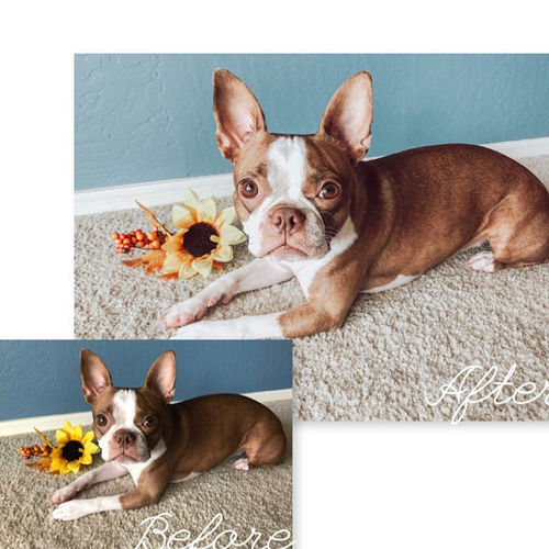 Customer photo review of SOFT BRIGHT - Mobile Pack