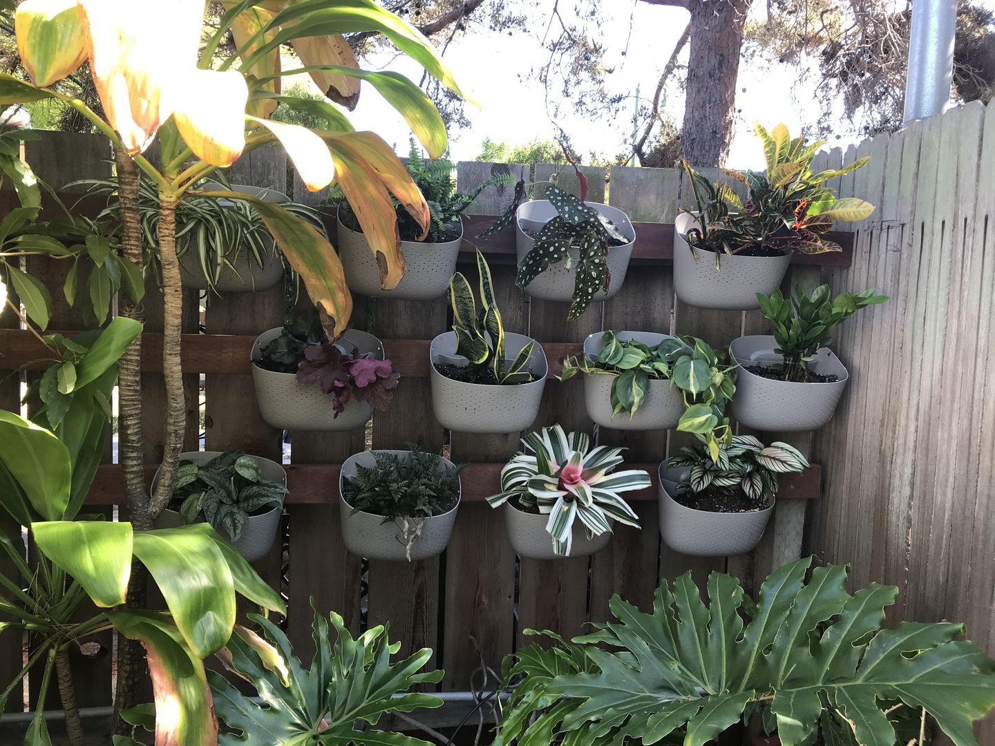 Customer photo review of Eco Stone Wall Planter