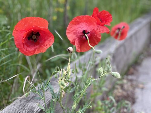 Customer photo review of Fusion MIDI Drum Loops