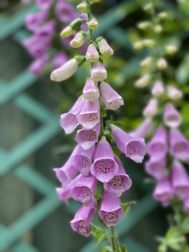 Customer photo review of Ballad MIDI Drum Loops