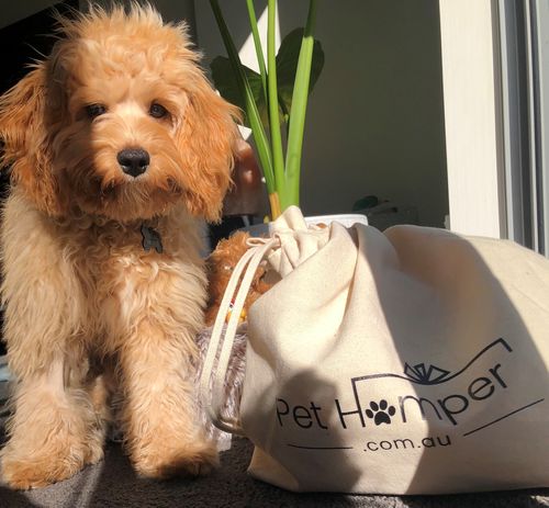 Customer photo review of Eco friendly cotton adventure tote