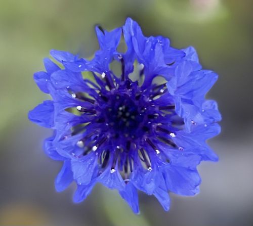 Customer photo review of Retro Funk MIDI Drum Loops