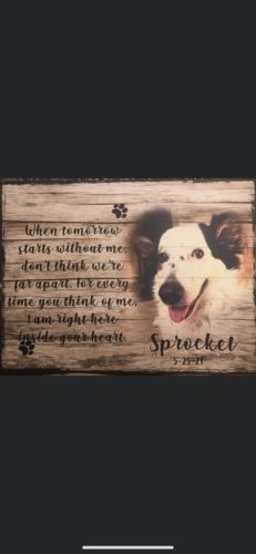Customer photo review of Custom Dog Memorial Passing Gift Pet Loss Frame Portrait Photo Canvas When Tomorrow Starts Without Me
