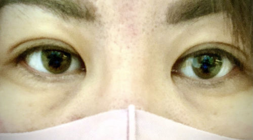 Customer photo review of Rich Ann Natural Brown 1Day (6EA) 1Day G.DIA 12.0mm