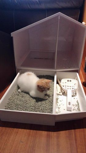 Customer photo review of Furrytail XL Semi-Closed Glow House Cat Litter Box with Scoop