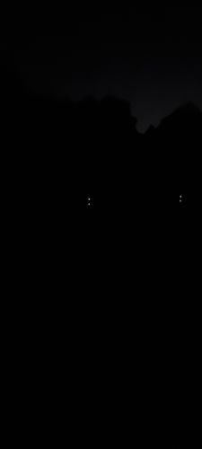 Customer photo review of USB Speed Charger inkl. 2x Akkus