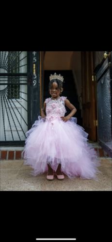 Customer photo review of Flower Girl Puffy Princess Cake Party Dress