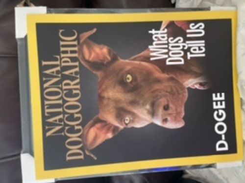 Customer photo review of Posing Pig Custom Print