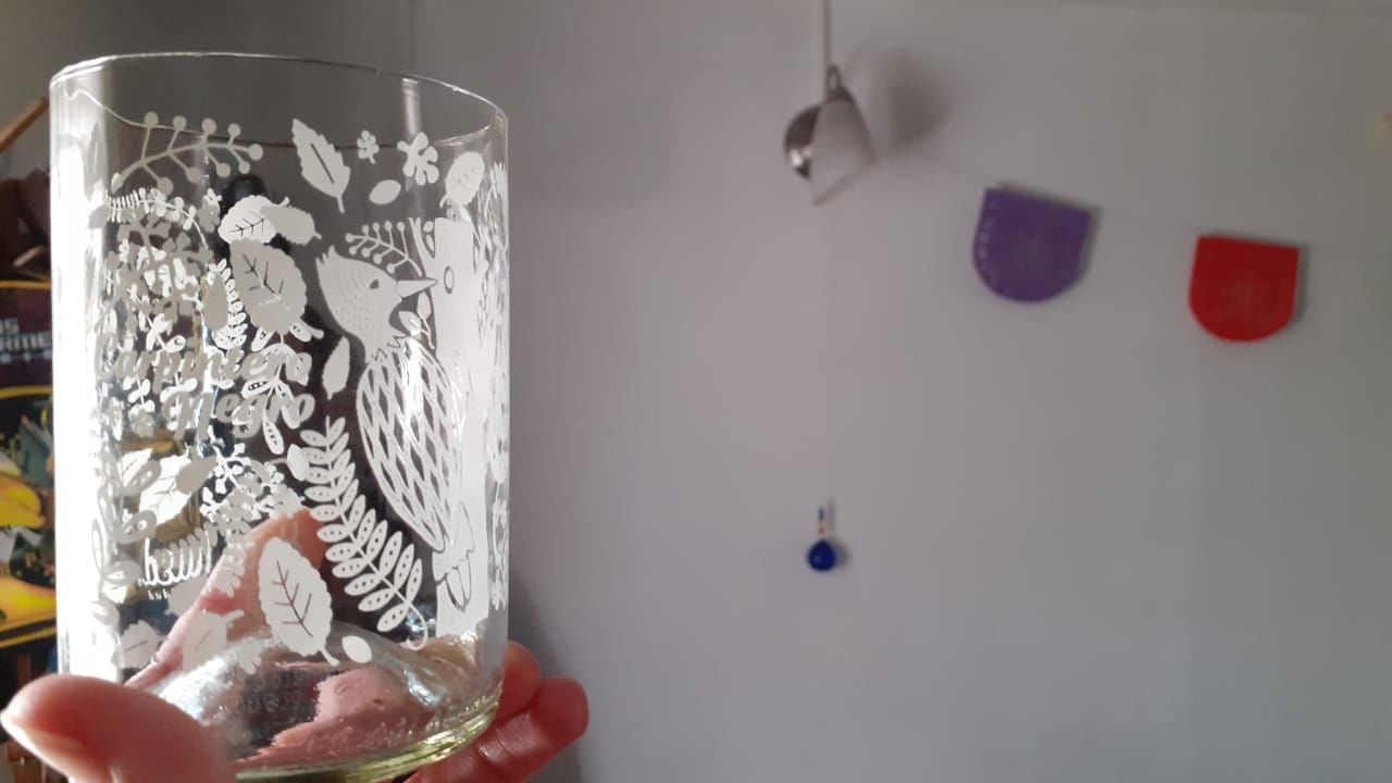 Customer photo review of Aves de Chile Juego de 4 Vasos