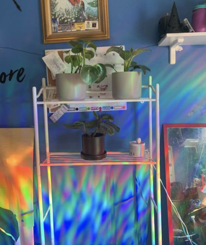 Customer photo review of Vespani Holographic Window Film