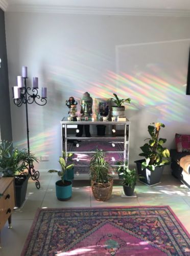 Customer photo review of Vespani Holographic Window Film