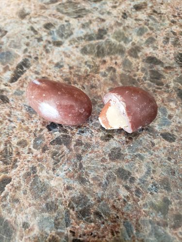 Customer photo review of Milk Chocolate Brazil Nuts
