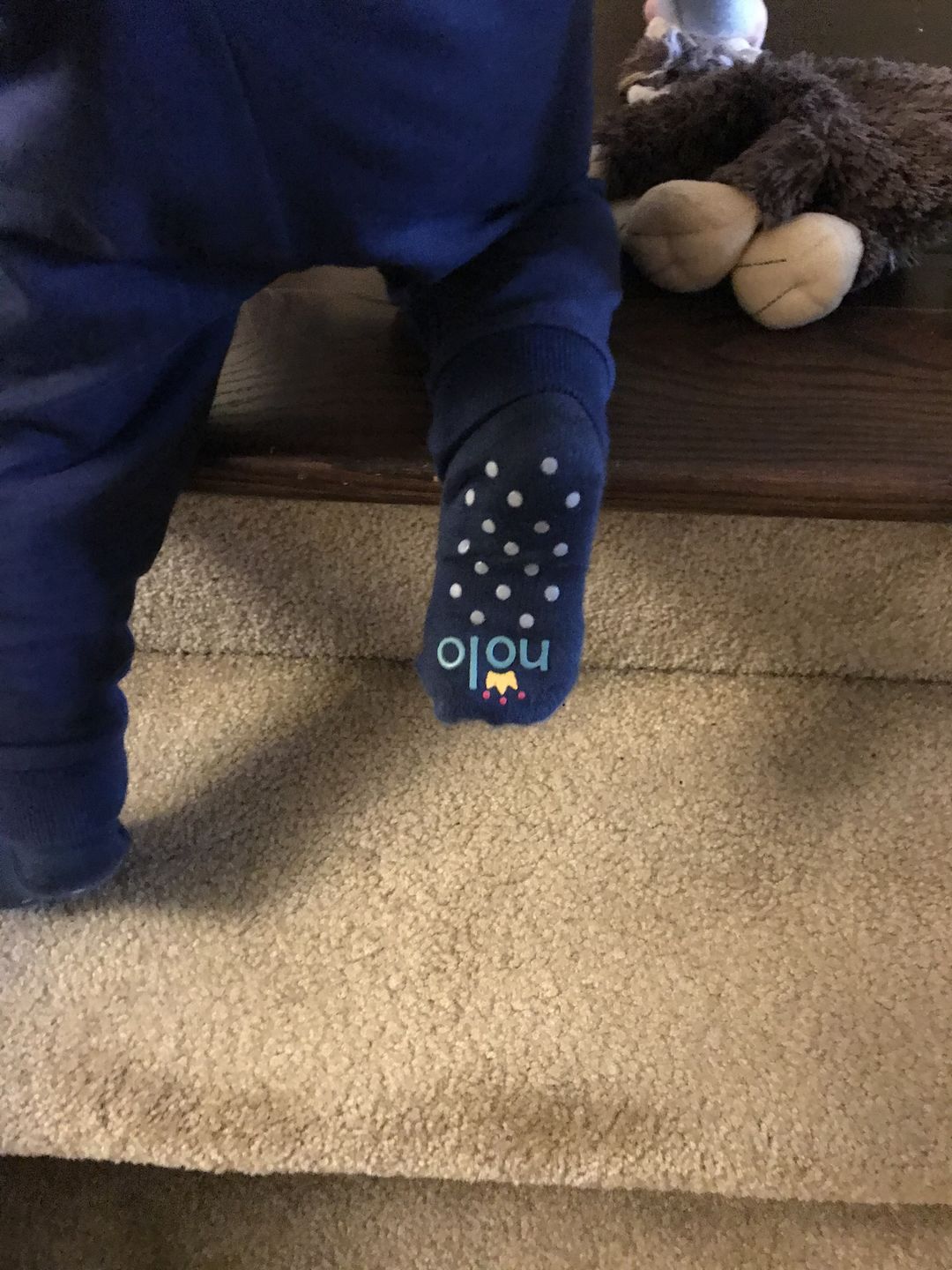 Customer photo review of Navy Blue Socks