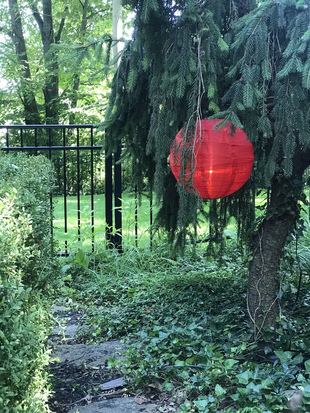 Customer photo review of 15FT Black Weatherproof Outdoor Pendant Light Lamp Cord Kit, E12 C7 Base