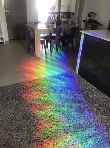 Customer photo review of Vespani Holographic Window Film