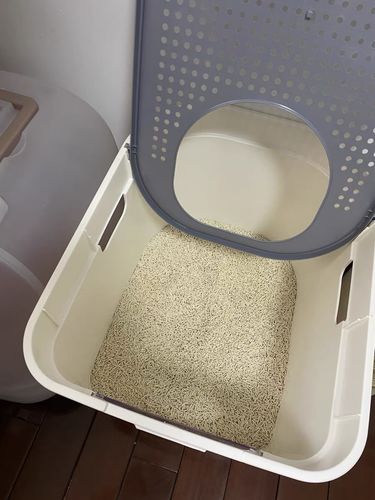 Customer photo review of Furrytail Michu Natural Clumping Tofu Cat Litter 2.5kg/6L