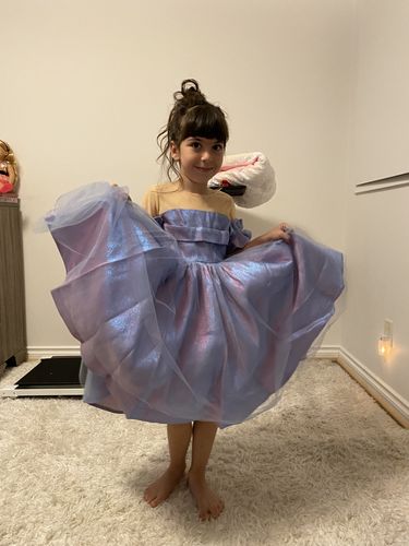 Customer photo review of Retro Elegant Girl  Party Puffy Princess Dress