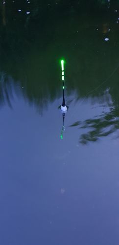 Customer photo review of 5g Smart Fishing Float