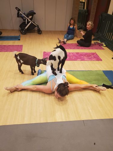 Customer photo review of Watercolor Rainbow Capri