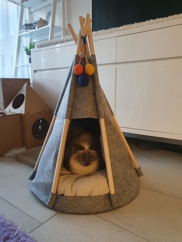 Customer photo review of Felt Warm Wool Cat Nest Tent House