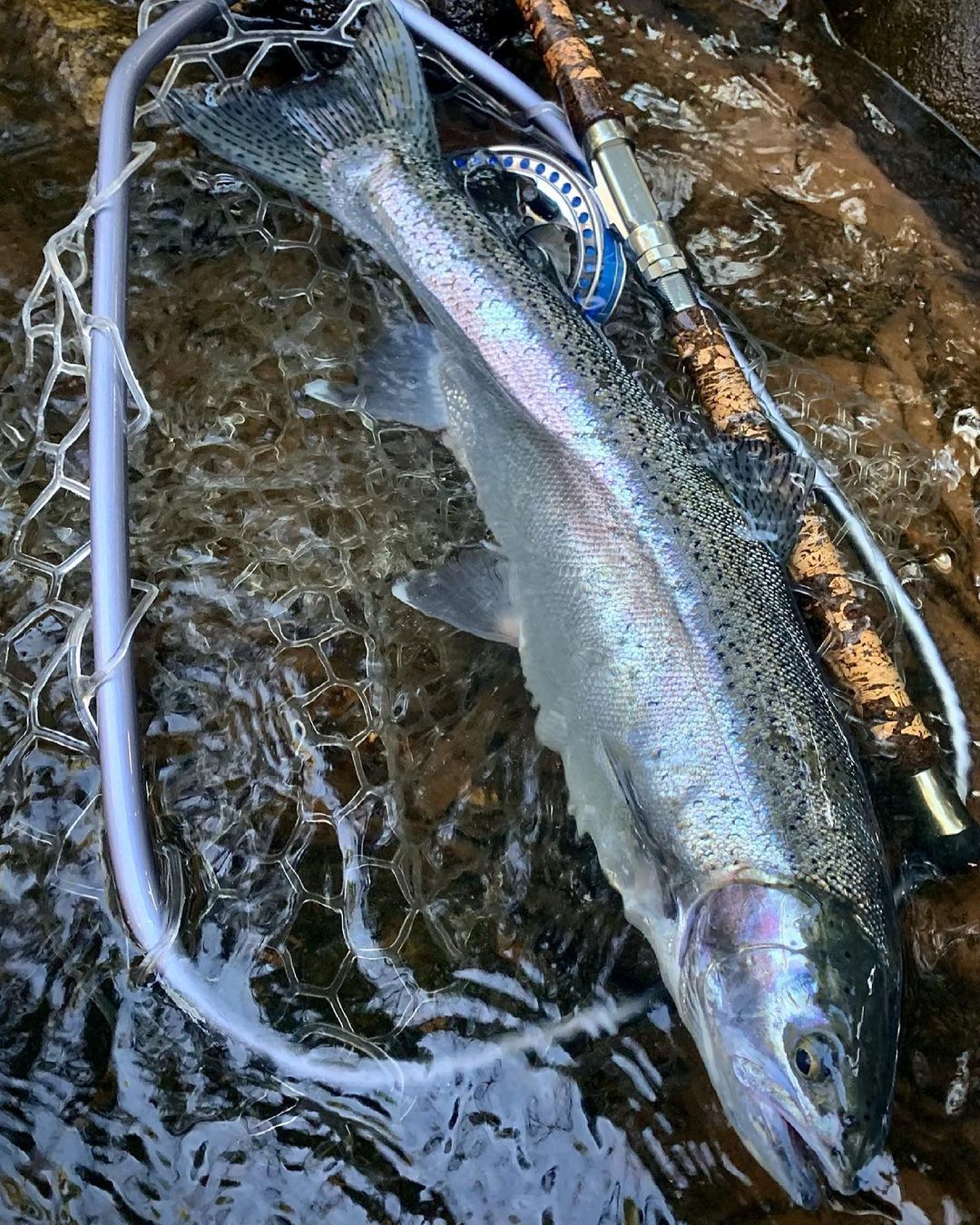 Customer photo review of Custom Float Build