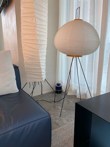 Customer photo review of Flyminator Bug Zapper - Indoor Mosquitoes & Insect Killer