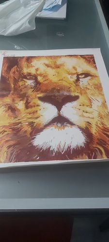 Customer photo review of Magnífico León