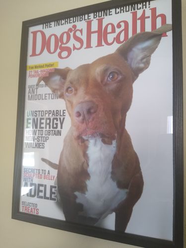 Customer photo review of 12 x 16" Frame Add-On