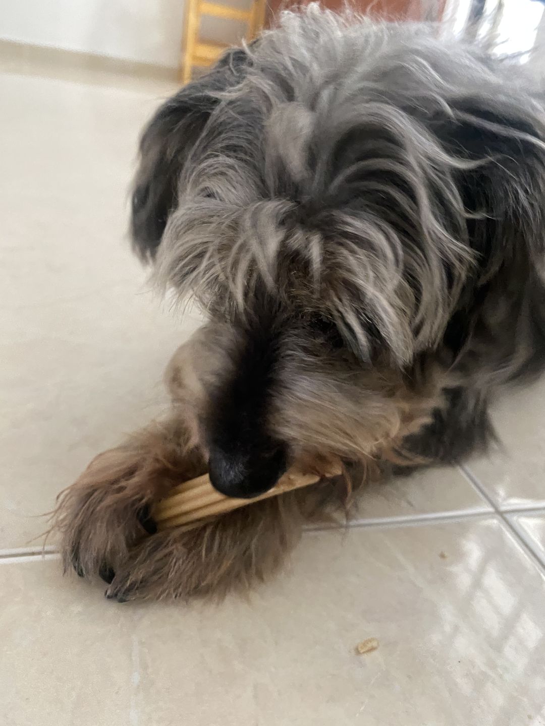 Customer photo review of arrr Dental Chew