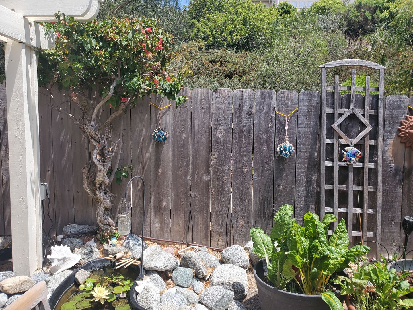 Customer photo review of Glass Floats - Authentic Seaglass Floats