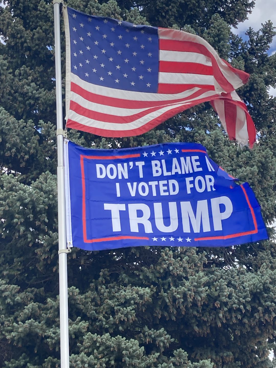 Customer photo review of Trending Politics Newsletter