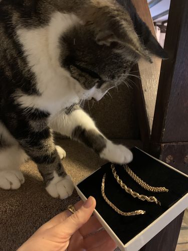 Customer photo review of Braided Luxe Chain