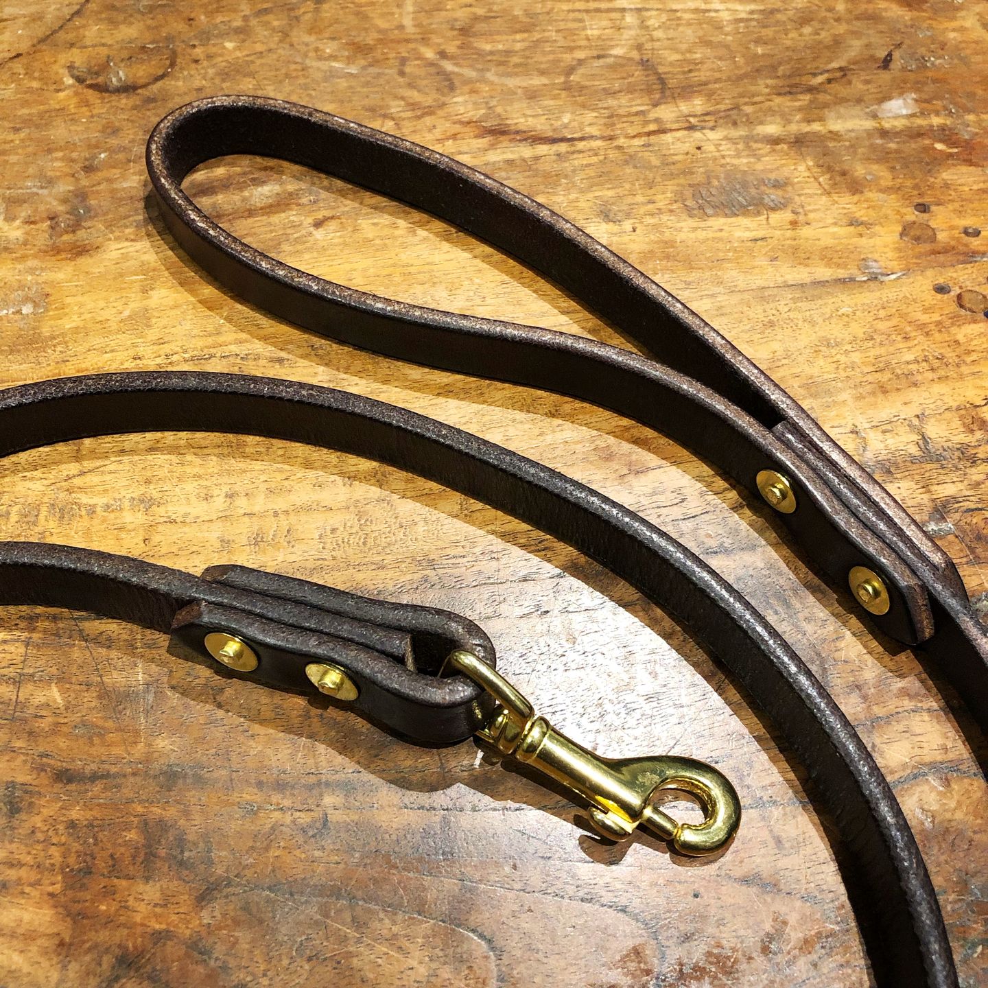 Customer photo review of Dog Lead