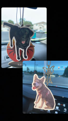 Customer photo review of Two Custom Air Fresheners