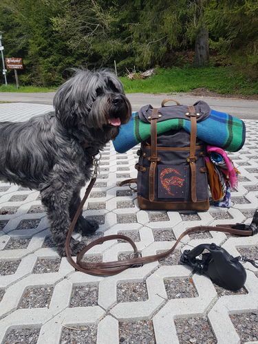 Customer photo review of Rucksack mit Patch (🌲)
