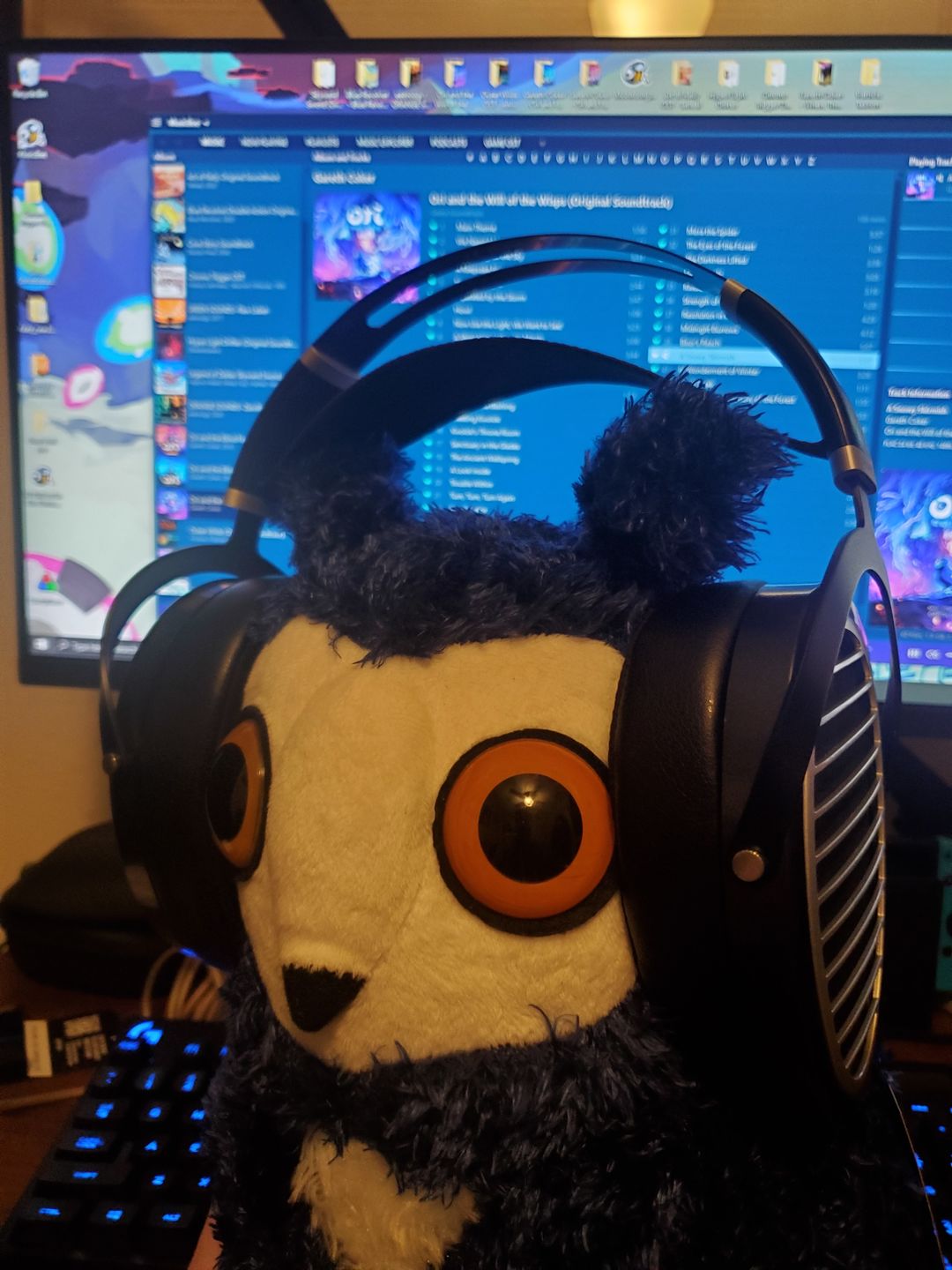 Customer photo review of Hifiman Ananda Planar Magnetic  Headphones - Stealth Magnets