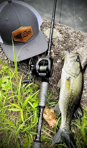Customer photo review of Richardson 112 Leather Patch Hat