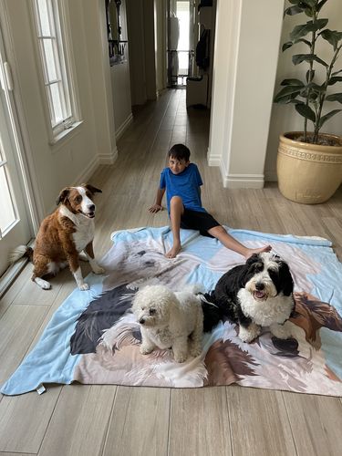 Customer photo review of Custom Pet Stickers