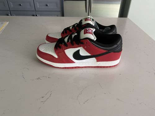 Customer photo review of Nike SB Dunk Low Chicago