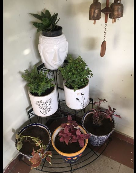 Customer photo review of 3 Tier Plant Stand Floral Corner Shelf Metal Flower Pot