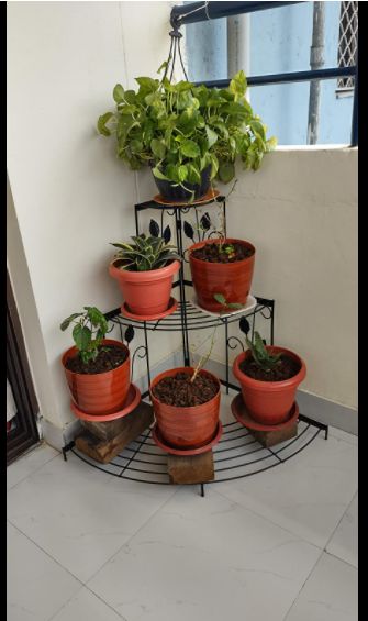 Customer photo review of 3 Tier Plant Stand Floral Corner Shelf Metal Flower Pot