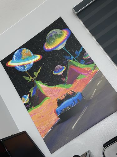 Customer photo review of Planets of Roses Canvas Set