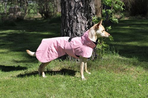 Customer photo review of Visibility Winter Jacket Pink for Dogs